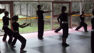 hunggarnancy-artsmartiaux-wushu-kungfu-ericbourbonnais-18janvier2015-6  